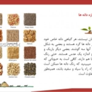 سرگذشت دانه ها