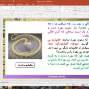 پاورپوینت درس 11 علوم تجربی پایه چهارم دبستان (ابتدایی): بی‌ مهره‌ ها