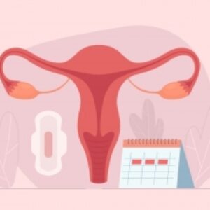پاورپوینت قاعدگی(mensturation)12 اسلاید