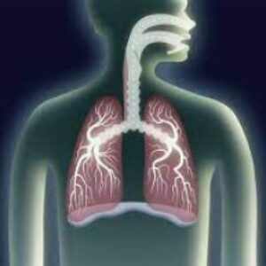 پاورپوینت تدریس مبحث سیستم تنفسی(lung)