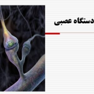 پاورپوینت آماده ارائه و تدریس دستگاه عصبی (Nervous System)