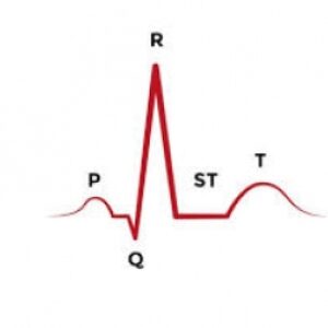 پاورپوینت آماده تدریس و برگزلری کارگاه الکتروکاردیوگرام پایه (Baseline electrocardiogram )