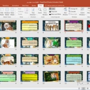 پاورپوینت نژاد های ببر به همراه بررسی اطلاعات دقیق هر نوع