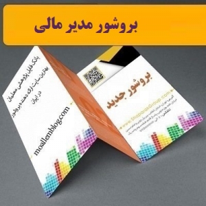 بروشور مدیر مالی