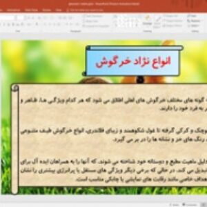 پاورپوینت درباره خرگوش و انواع نژاد خرگوشها 37 اسلاید