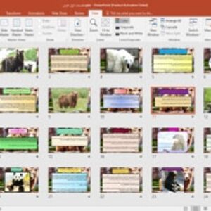پاورپوینت انواع خرس و نکاتی از آنها 47 اسلاید