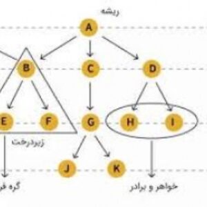ساختار درختی داده ها  در برنامه نویسی