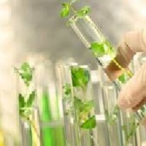 دانلود پاورپوینت زيست فناوری گياهی