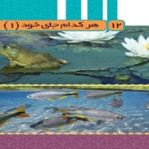 پاورپوینت درس 12 علوم تجربی پایه سوم ابتدایی (هر کدام جای خود1)