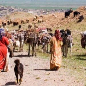 پاورپوینت ایل قشقایی