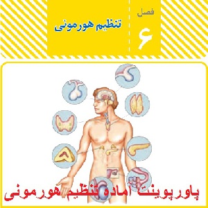 پاورپوینت فصل ششم علوم تجربی هشتم ( تنظیم هورمونی )
