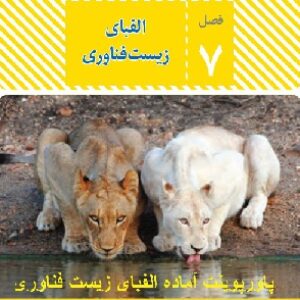 پاورپوینت فصل هفتم علوم تجربی هشتم ( الفبای زیست فناوری )