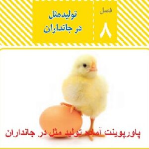 دانلود پاورپوینت آماده فصل هشتم علوم هشتم ( تولید مثل )13اسلاید
