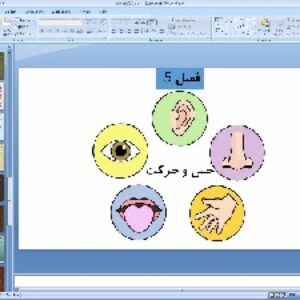 پاورپوینت فصل پنجم علوم تجربی پایه هشتم حس و حرکت