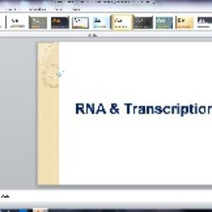 دانلود پاورپوینت RNA & Transcription