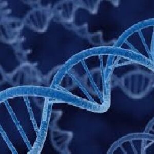 مقاله استفاده از DNA در جرم شناسی (روشها , دلایل و مشکلات)