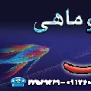 طرح لایه باز مرغ و ماهی فروشی 1