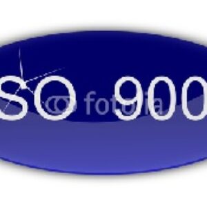 راهنمای بهبود کیفیت و کارایی توسعه در سازمان - ایزو 9004 ورژن 2000