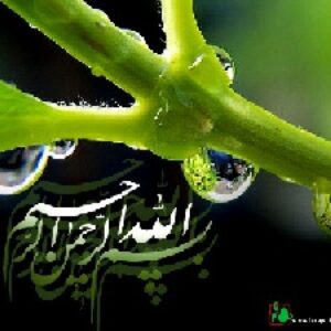 پاورپوینت جامعه شناسی نهاد آموزش و پرورش