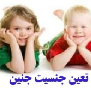 پاورپوینت روشهای تعین جنسیت جنین