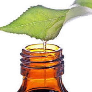 مقاله ی اسانسگیری