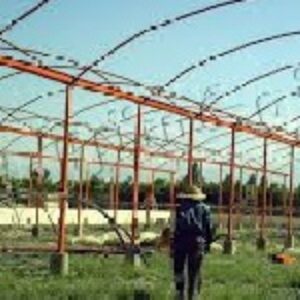 مقاله راهنمای انواع گلخانه (جنس، محصولات قابل کشت، سیستم های مورد نیاز و ...)