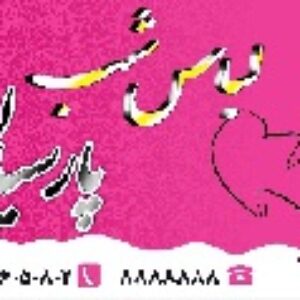 طرح لایه باز پوشاک و خیاطی زنانه 4