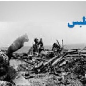 پاورپوینت عملیات طبس