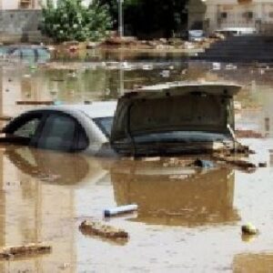 دانلود مقاله ای در مورد ماهیت حقوقی خسارت