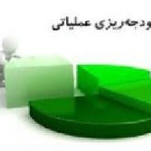 دانلود مقاله بودجه ریزی عملیاتی از تئوری تا عمل