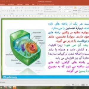 پاورپوینت فصل 6 زیست شناسی دهم تجربی: (از یاخته تا گیاه)