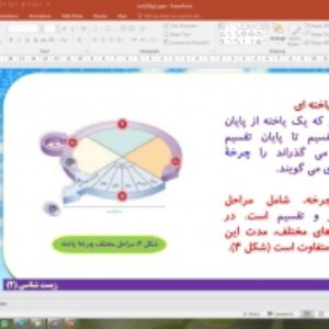 پاورپوینت گفتار 1 زیست شناسی یازدهم تجربی: فام تن (کروموزوم) (تقسیم یاخته)