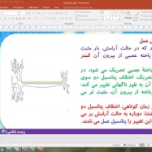 پاورپوینت گفتار 1 زیست شناسی یازدهم تجربی: یاخته های بافت عصبی (تنظیم عصبی)