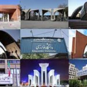 دانشگاه ها چگونه کار می کنند (سازمان علمی و رهبری آن از منظر سایبرنتیک)