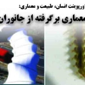 دانلود پاورپوینت انسان، طبیعت و معماری با موضوع معماری برگرفته از جانوران