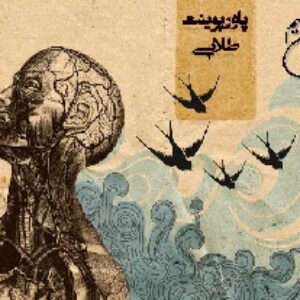 پاورپوینت آناتومی انسانی پایه مبحث واژه شناسی و استخوان