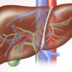 کبد چرب، دیابت و رژیم غذایی