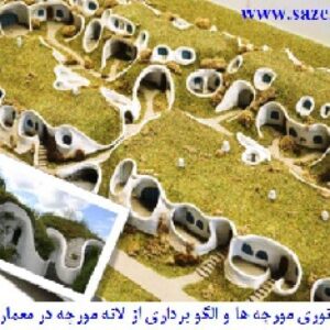 دانلود پاورپوینت امپراطوری مورچه ها و الگو برداری از شهرسازی مورچه ها