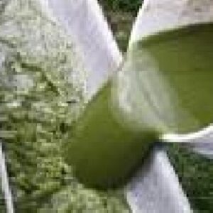 دانلود مقاله توليد روغن از جلبک