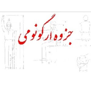 جزوه ارگونومی- برای رشته طراحی صنعتی