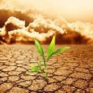 دانلود پاورپوینت درباره دفاع زیستی