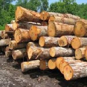 تحقیق درباره صنايع چوب