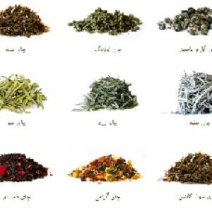 دانلود پاورپوینت    انواع چایی