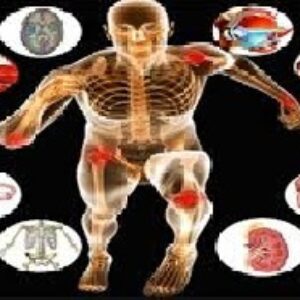 دانلود تحقيق در مورد فيزيولوژي متابوليسم بدن