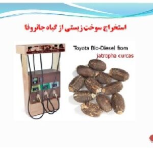 پاورپوینت در مورد سوخت های گیاهی