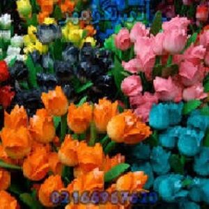 دانلود پروژه فیزیولوژی پس از برداشت گلهای شاخه بریده