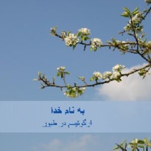 پاورپوینت ارگوتیسم در طیور