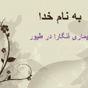 پاورپوینت بیماری آنگارا در طیور