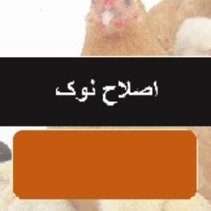 پاورپوینت اصلاح نوک در طیور