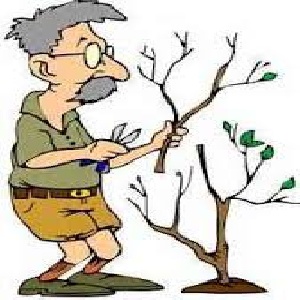 پاورپوینت درباره آشنایی با هرس